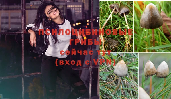 скорость mdpv Лиски