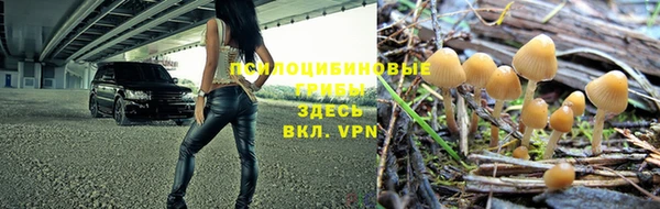 spice Липки