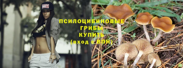 прущие крисы Лабытнанги
