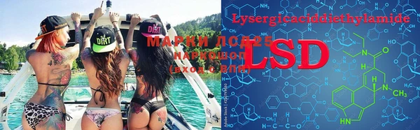 spice Липки