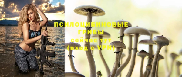 мдпв Лихославль