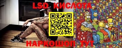 молекула духа Донецк