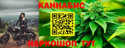 молекула духа Донецк