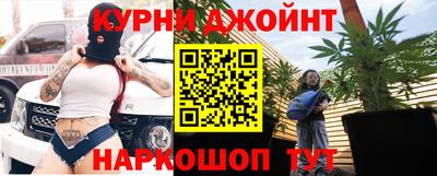 бошки Дубна