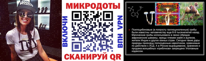 мега   Грозный  Галлюциногенные грибы Psilocybe 