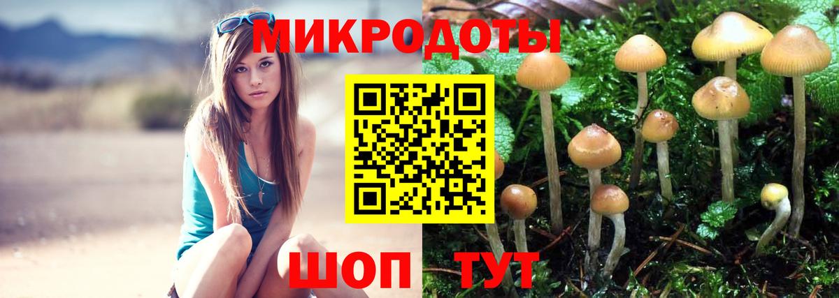 Псилоцибиновые грибы Magic Shrooms Грозный