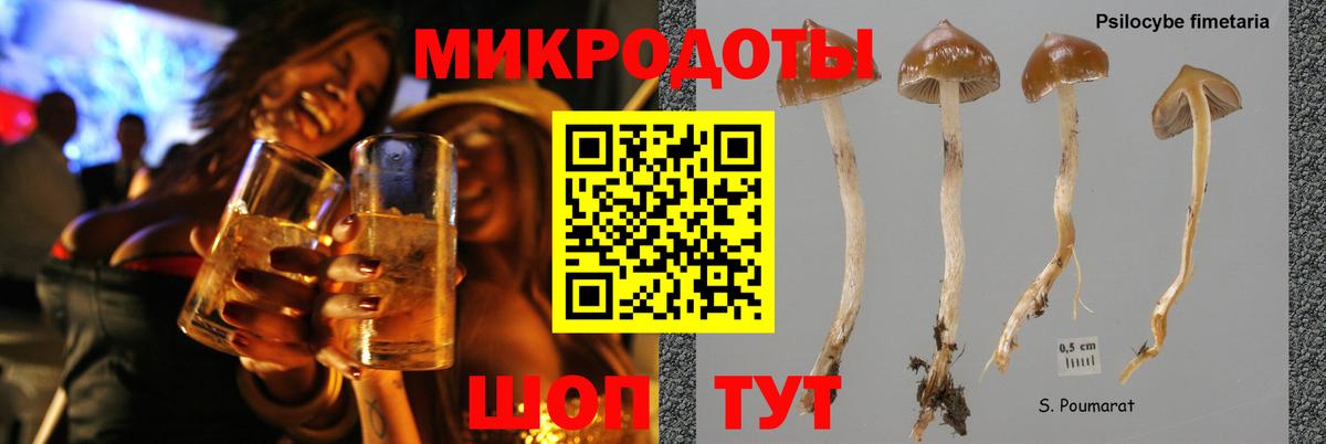 Грозный  Псилоцибиновые грибы MAGIC MUSHROOMS  Вход с VPN  Псилоцибиновые грибы Cubensis 